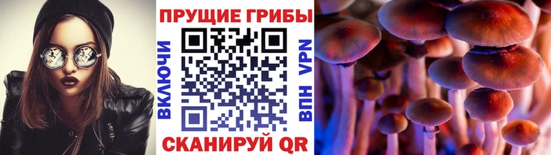 omg рабочий сайт  Кызыл  Псилоцибиновые грибы MAGIC MUSHROOMS 