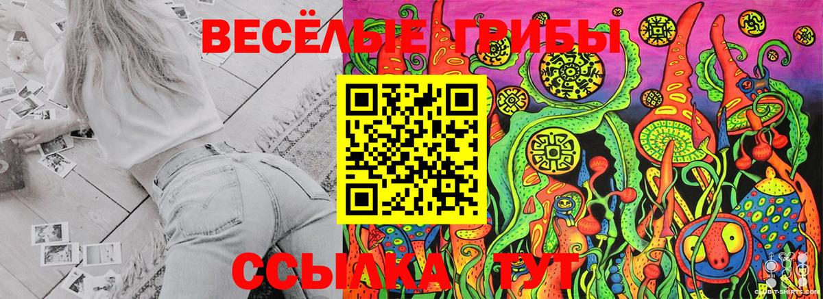 Псилоцибиновые грибы Magic Shrooms Кызыл