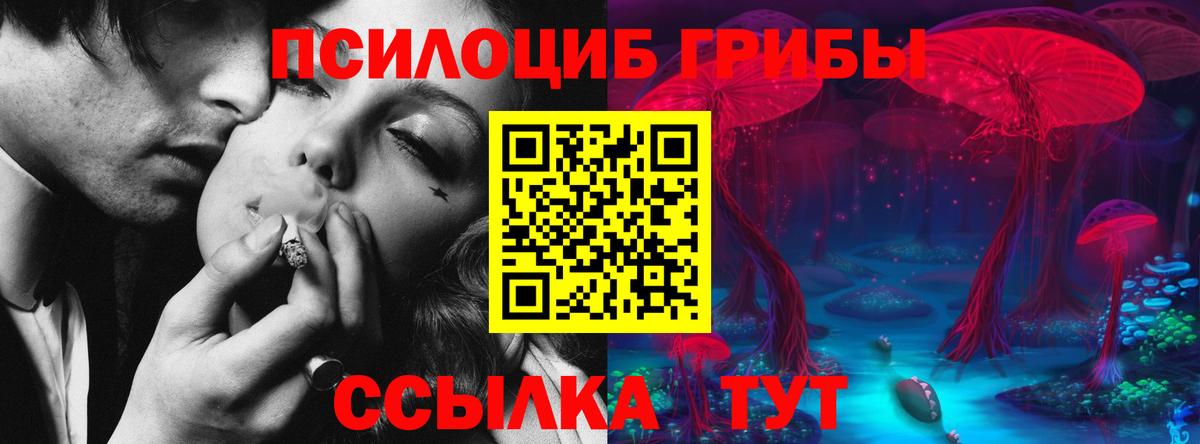 Галлюциногенные грибы Psilocybe  Вход с VPN  продажа наркотиков  Кызыл  Псилоцибиновые грибы MAGIC MUSHROOMS 